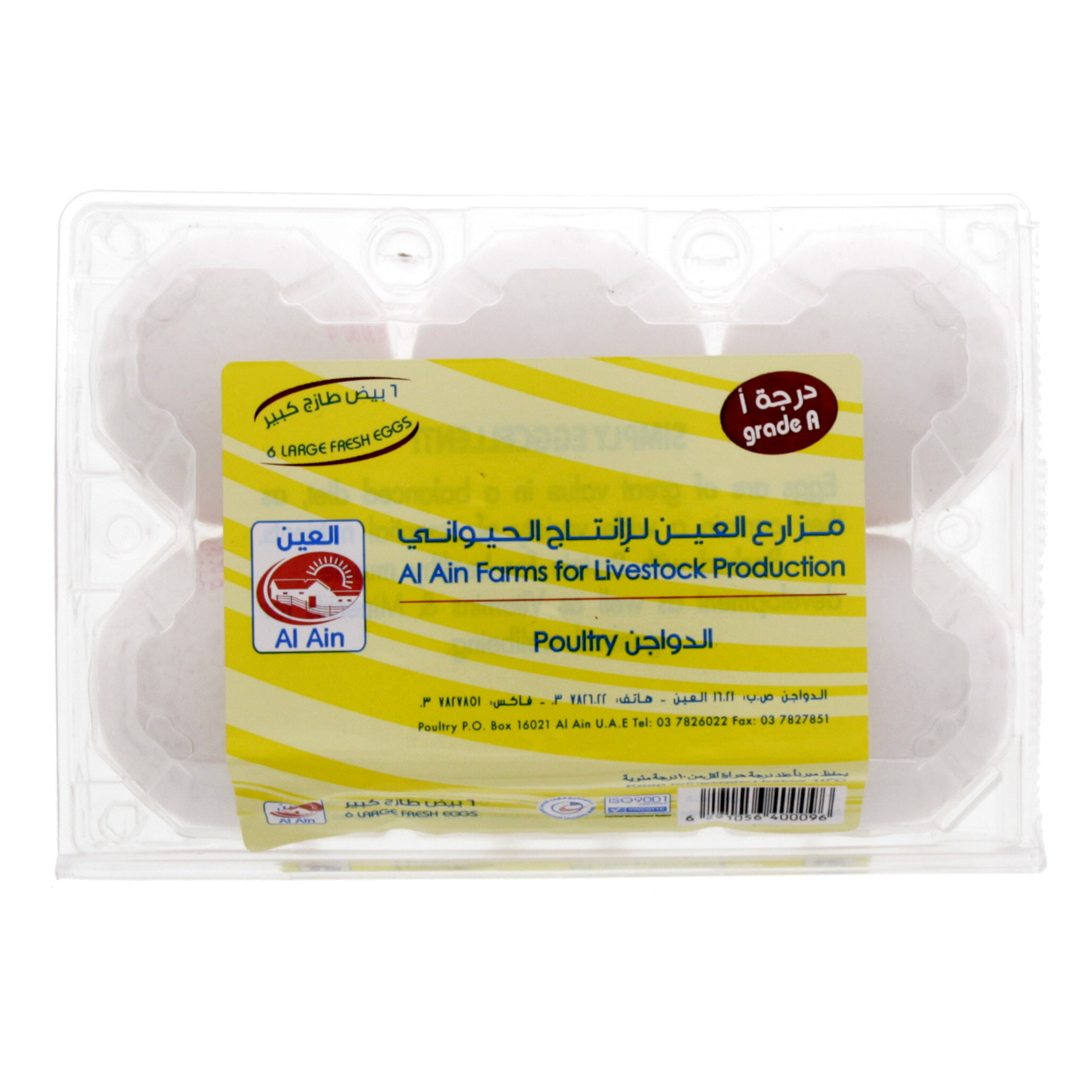 Al Ain Grade A 6 Large Fresh Eggs